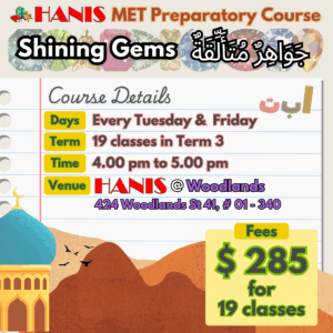 ( Enrichment ) Shining Gems - HANIS @ Woodlands ( Term 3, Tuesdays & Fridays, 4 - 5 pm )